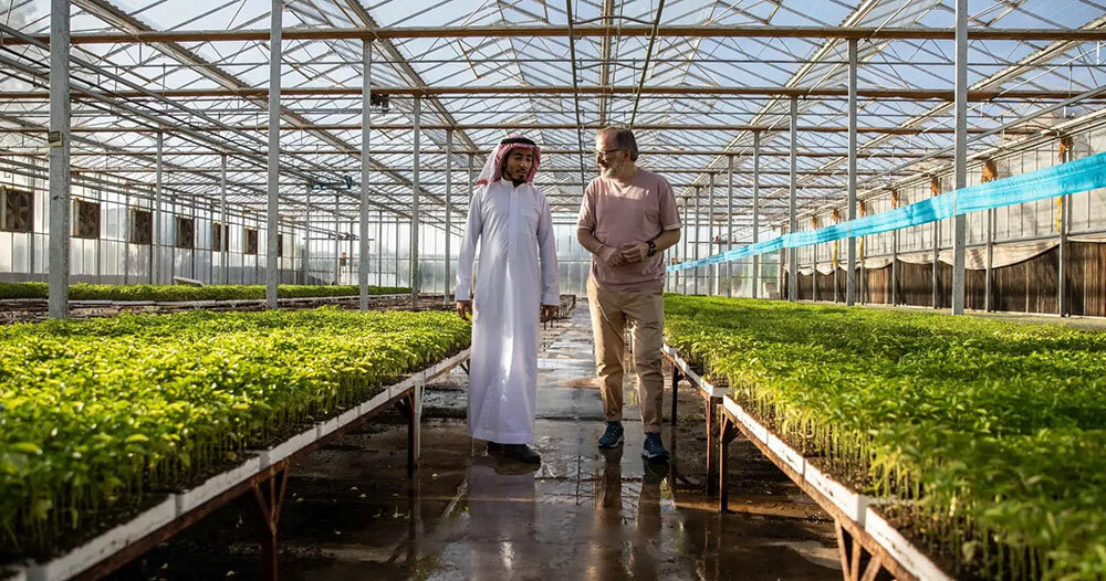 NEOM-van-der-hoeven-dutch-greenhouses-saudi-arabia-designboom-FB